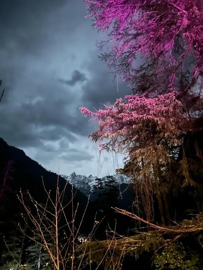 Kasol Jungle Retreat Hotel Exterior photo